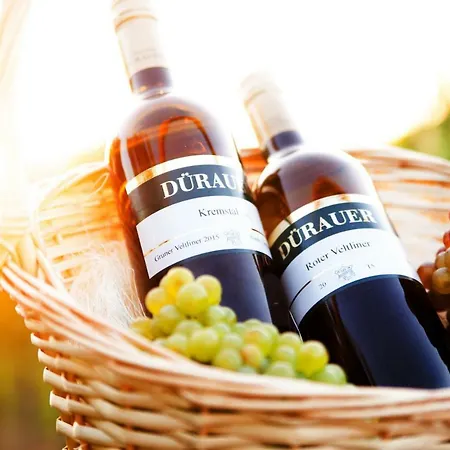 Pansiyon Winzerhof Duerauer Furth bei Gottweig