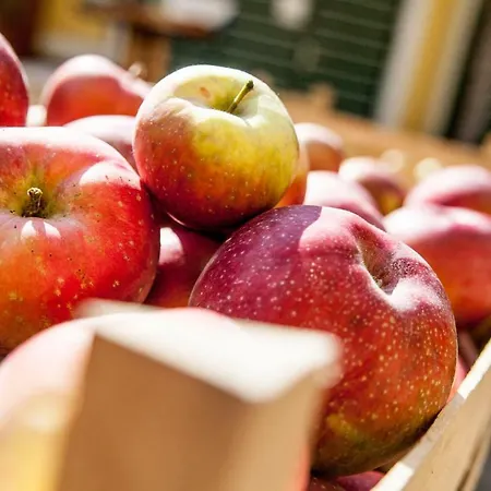 Séjour chez l'habitant Winzerhof Duerauer