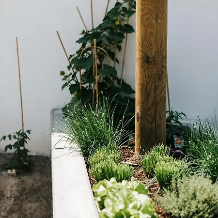 Winzerhof Duerauer Pansiyon Furth bei Gottweig