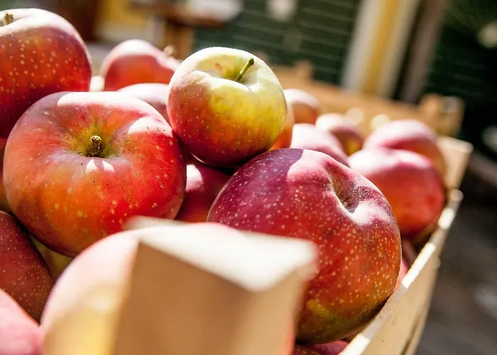 Homestay Winzerhof Duerauer