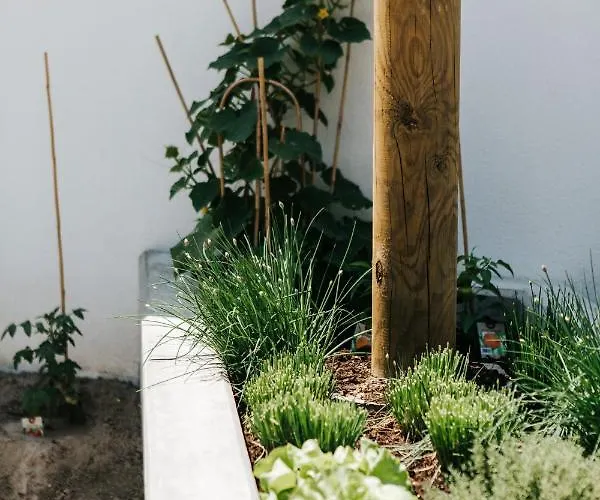 Winzerhof Duerauer Homestay Furth bei Gottweig